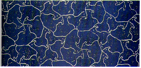 Color Plate